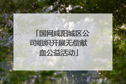 国网咸阳城区公司组织开展无偿献血公益活动